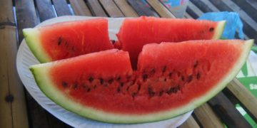 15 Tips for Lowering the Fat in Your Diet Without Losing the Flavor