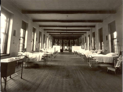 Flu-Epidemic