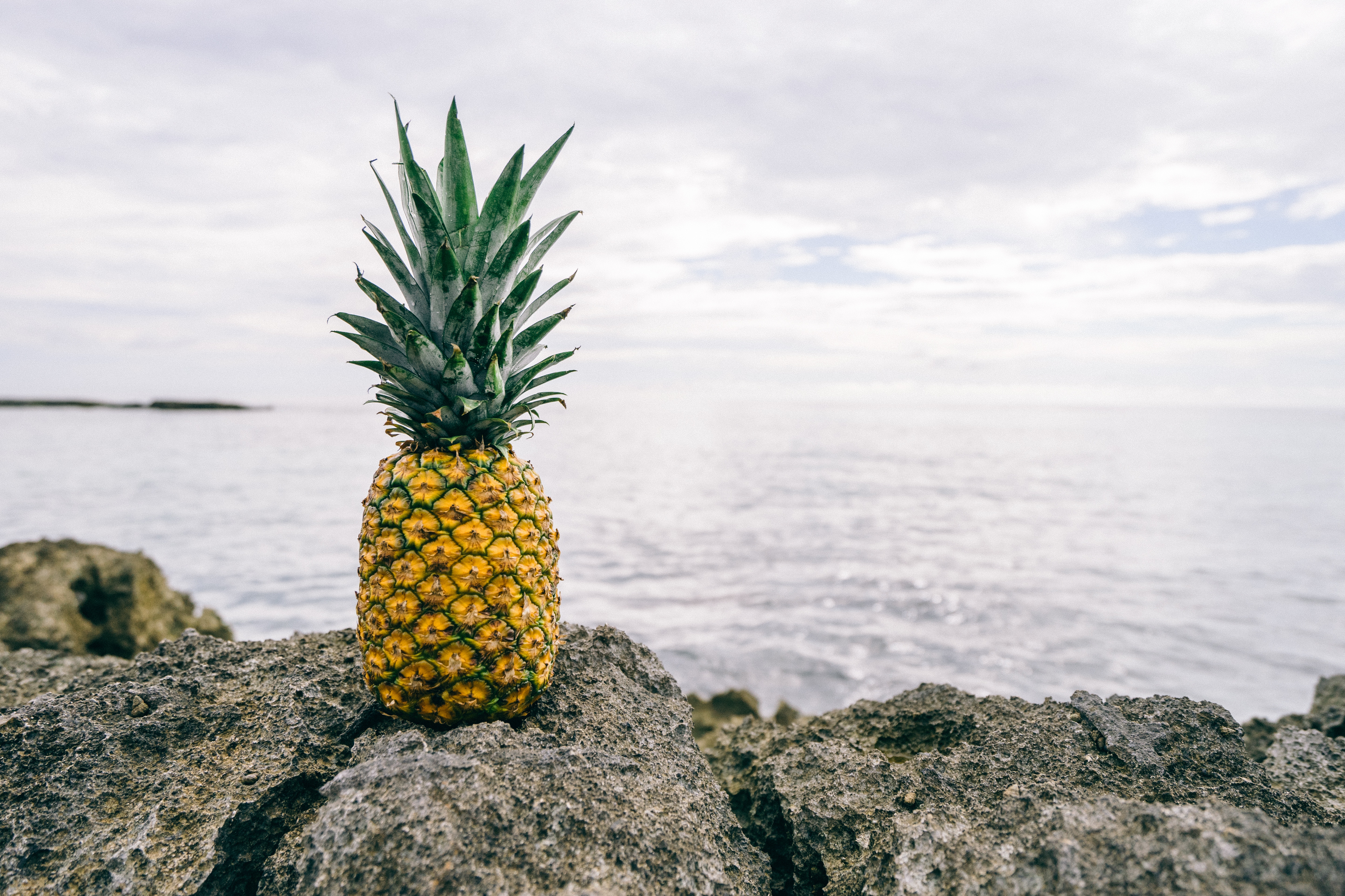 functional health